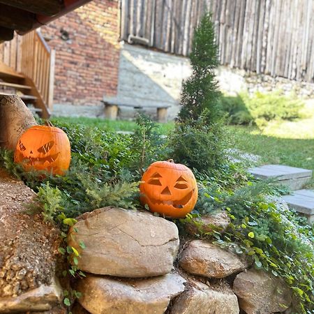 Casa Veche “Old House” Villa Сибил Екстериор снимка